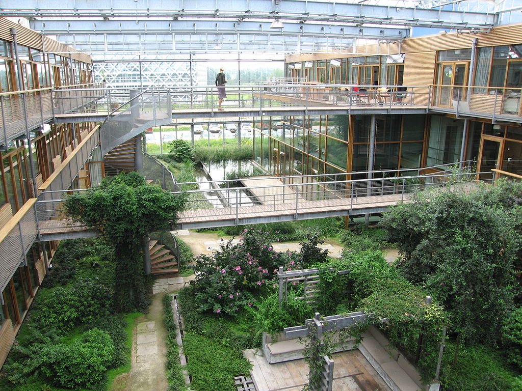 photo of Lumen building's courtyard filled with vegetation